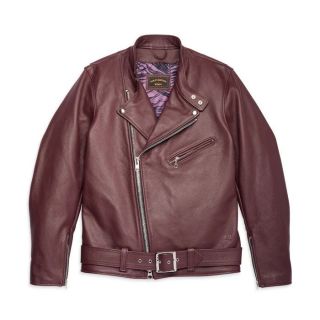 Harley-Davidson x Jason Momoa Ka Waina